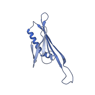 41632_8tux_h2_v1-0
Capsid of mature PP7 virion with 3'end region of PP7 genomic RNA