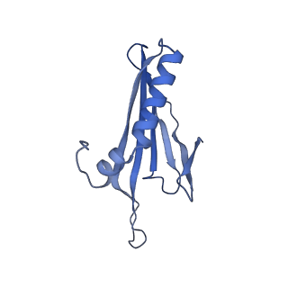 41632_8tux_j1_v1-0
Capsid of mature PP7 virion with 3'end region of PP7 genomic RNA