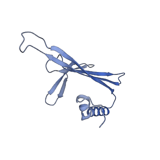 41632_8tux_j2_v1-0
Capsid of mature PP7 virion with 3'end region of PP7 genomic RNA