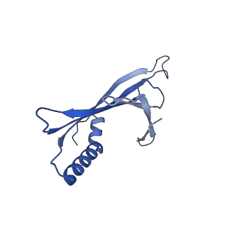 41632_8tux_k1_v1-0
Capsid of mature PP7 virion with 3'end region of PP7 genomic RNA