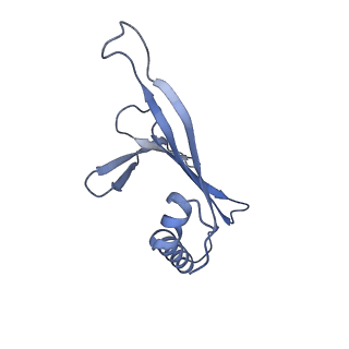 41632_8tux_k2_v1-0
Capsid of mature PP7 virion with 3'end region of PP7 genomic RNA