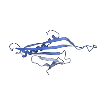 41632_8tux_l1_v1-0
Capsid of mature PP7 virion with 3'end region of PP7 genomic RNA