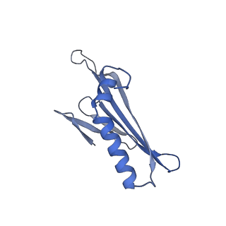 41632_8tux_l2_v1-0
Capsid of mature PP7 virion with 3'end region of PP7 genomic RNA