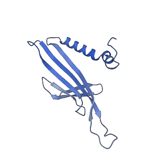 41632_8tux_m1_v1-0
Capsid of mature PP7 virion with 3'end region of PP7 genomic RNA