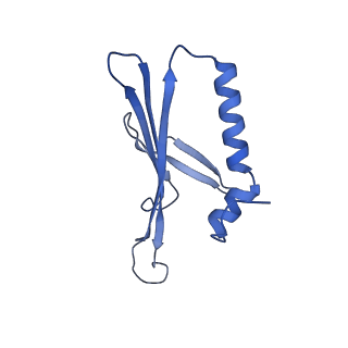 41632_8tux_n1_v1-0
Capsid of mature PP7 virion with 3'end region of PP7 genomic RNA