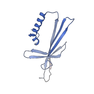 41632_8tux_n2_v1-0
Capsid of mature PP7 virion with 3'end region of PP7 genomic RNA