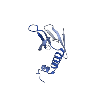 41632_8tux_o1_v1-0
Capsid of mature PP7 virion with 3'end region of PP7 genomic RNA