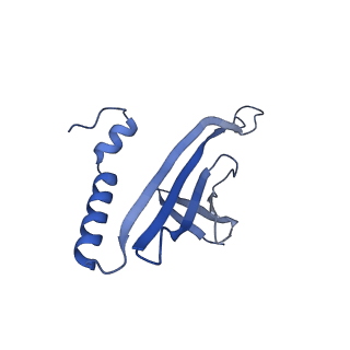 41632_8tux_p1_v1-0
Capsid of mature PP7 virion with 3'end region of PP7 genomic RNA