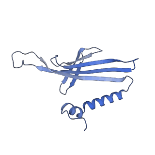 41632_8tux_q2_v1-0
Capsid of mature PP7 virion with 3'end region of PP7 genomic RNA