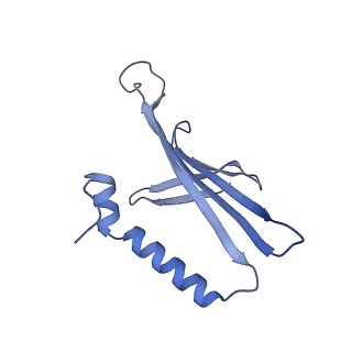 41632_8tux_r2_v1-0
Capsid of mature PP7 virion with 3'end region of PP7 genomic RNA