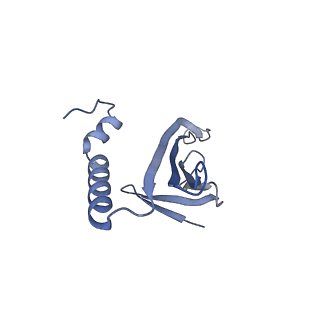 41632_8tux_s2_v1-0
Capsid of mature PP7 virion with 3'end region of PP7 genomic RNA