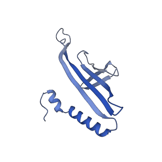 41632_8tux_t1_v1-0
Capsid of mature PP7 virion with 3'end region of PP7 genomic RNA