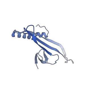 41632_8tux_t2_v1-0
Capsid of mature PP7 virion with 3'end region of PP7 genomic RNA