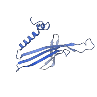 41632_8tux_u1_v1-0
Capsid of mature PP7 virion with 3'end region of PP7 genomic RNA