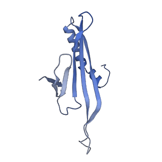 41632_8tux_u2_v1-0
Capsid of mature PP7 virion with 3'end region of PP7 genomic RNA