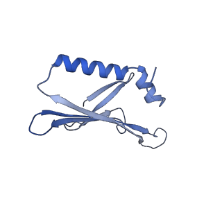 41632_8tux_v1_v1-0
Capsid of mature PP7 virion with 3'end region of PP7 genomic RNA