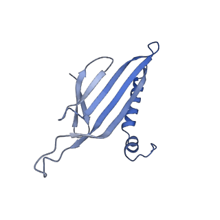 41632_8tux_v2_v1-0
Capsid of mature PP7 virion with 3'end region of PP7 genomic RNA