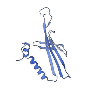 41632_8tux_w2_v1-0
Capsid of mature PP7 virion with 3'end region of PP7 genomic RNA