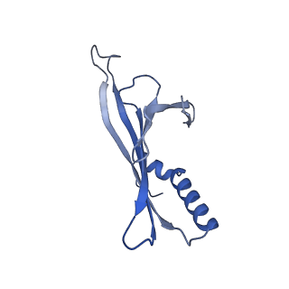 41632_8tux_x1_v1-0
Capsid of mature PP7 virion with 3'end region of PP7 genomic RNA