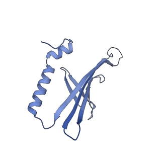 41632_8tux_x2_v1-0
Capsid of mature PP7 virion with 3'end region of PP7 genomic RNA