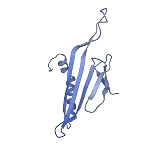 41632_8tux_y1_v1-0
Capsid of mature PP7 virion with 3'end region of PP7 genomic RNA