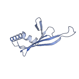 41632_8tux_z1_v1-0
Capsid of mature PP7 virion with 3'end region of PP7 genomic RNA