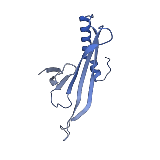 41632_8tux_z2_v1-0
Capsid of mature PP7 virion with 3'end region of PP7 genomic RNA