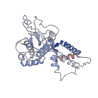 26140_7tve_C_v1-0
ATP and DNA bound SMC5/6 core complex