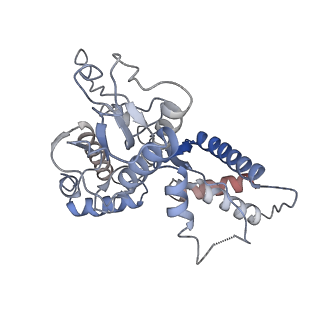 26140_7tve_C_v1-1
ATP and DNA bound SMC5/6 core complex