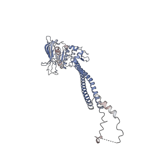 26140_7tve_D_v1-0
ATP and DNA bound SMC5/6 core complex