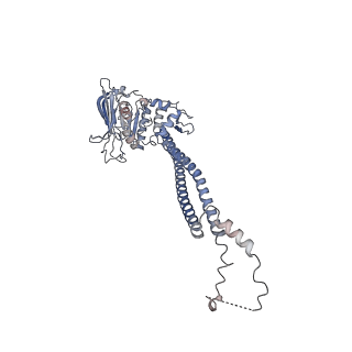 26140_7tve_D_v1-1
ATP and DNA bound SMC5/6 core complex