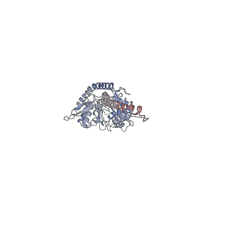 26140_7tve_E_v1-0
ATP and DNA bound SMC5/6 core complex
