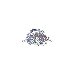 26140_7tve_E_v1-1
ATP and DNA bound SMC5/6 core complex