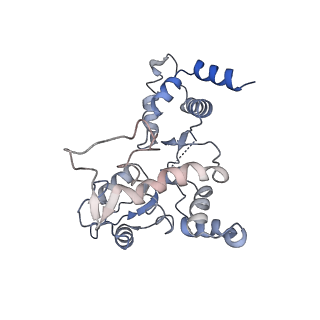 26140_7tve_F_v1-0
ATP and DNA bound SMC5/6 core complex