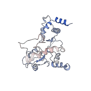 26140_7tve_F_v1-1
ATP and DNA bound SMC5/6 core complex