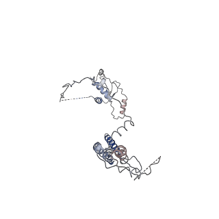 26140_7tve_G_v1-0
ATP and DNA bound SMC5/6 core complex