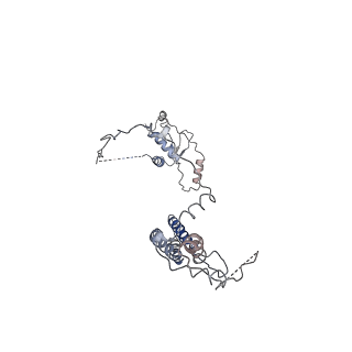 26140_7tve_G_v1-1
ATP and DNA bound SMC5/6 core complex