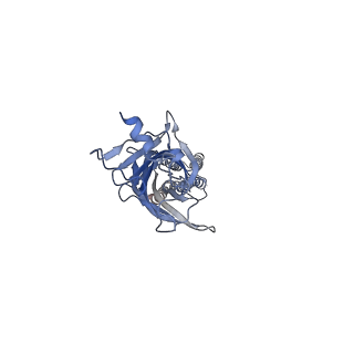 26141_7tvi_B_v1-0
Alpha1/BetaB Heteromeric Glycine Receptor in Glycine-Bound State