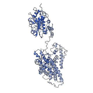 26142_7tvz_A_v1-2
Cryo-EM structure of human band 3-protein 4.2 complex in diagonal conformation