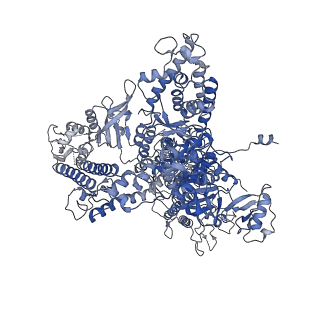 41647_8tvp_A_v1-0
Cryo-EM structure of CPD-stalled Pol II in complex with Rad26 (open state)
