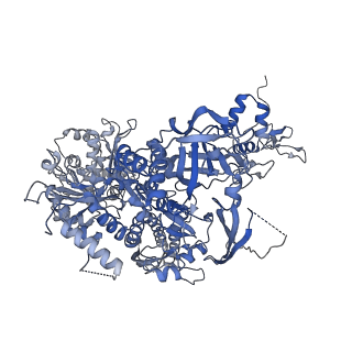 41647_8tvp_B_v1-0
Cryo-EM structure of CPD-stalled Pol II in complex with Rad26 (open state)