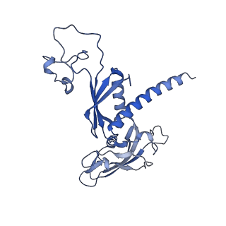 41647_8tvp_C_v1-0
Cryo-EM structure of CPD-stalled Pol II in complex with Rad26 (open state)