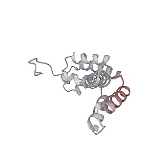 41647_8tvp_D_v1-0
Cryo-EM structure of CPD-stalled Pol II in complex with Rad26 (open state)