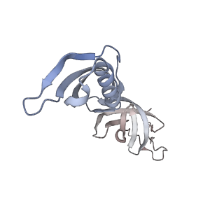 41647_8tvp_G_v1-0
Cryo-EM structure of CPD-stalled Pol II in complex with Rad26 (open state)
