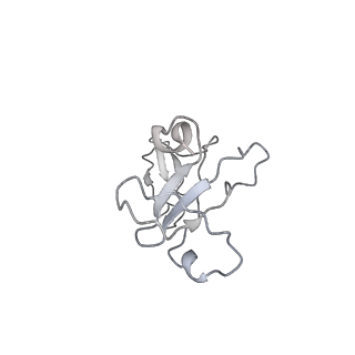 41647_8tvp_I_v1-0
Cryo-EM structure of CPD-stalled Pol II in complex with Rad26 (open state)