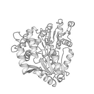41647_8tvp_M_v1-0
Cryo-EM structure of CPD-stalled Pol II in complex with Rad26 (open state)