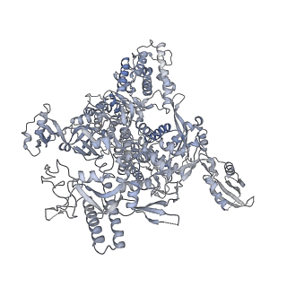 41648_8tvq_A_v1-0
Cryo-EM structure of CPD stalled 10-subunit Pol II in complex with Rad26