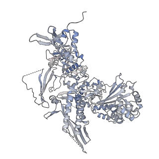 41648_8tvq_B_v1-0
Cryo-EM structure of CPD stalled 10-subunit Pol II in complex with Rad26