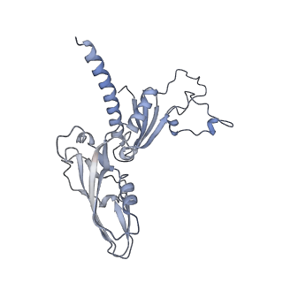 41648_8tvq_C_v1-0
Cryo-EM structure of CPD stalled 10-subunit Pol II in complex with Rad26
