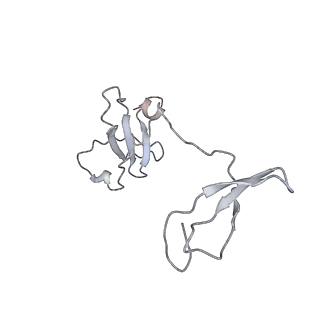 41648_8tvq_I_v1-0
Cryo-EM structure of CPD stalled 10-subunit Pol II in complex with Rad26